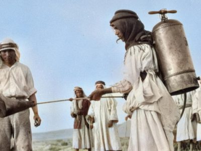 سجال آينشتاين وفيليب حِـــتِّي عن الفكرة الصهيونية